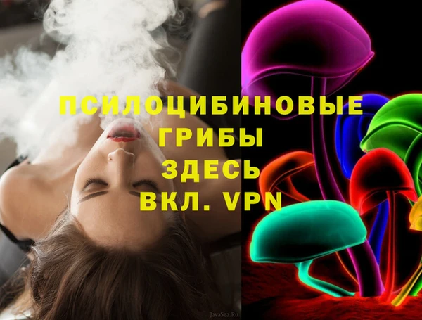 крисы Дедовск