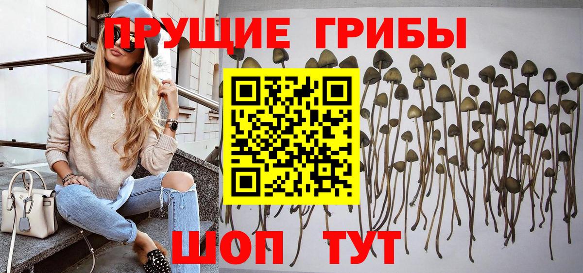 Галлюциногенные грибы GOLDEN TEACHER Ржев