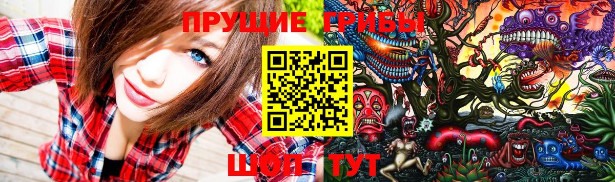 Псилоцибиновые грибы Psilocybine cubensis  Вход с VPN  Ржев 